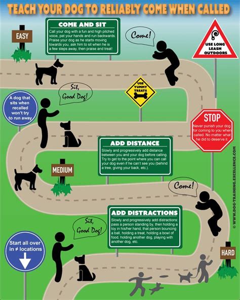 Dog Training Hand Signals - A picture instructional guide | Dog training hand signals, Dog ...