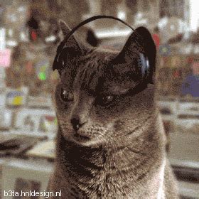 Gifs animados locos de gatos escuchando música - Mil Recursos