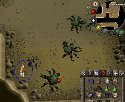 Kalphite OSRS Location Guide - Rune Fanatics