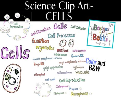 Science Clip Art CELLS Cell Cycle Mitosis Word Art for Teachers ...