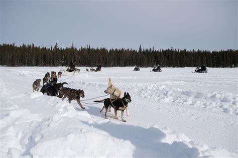 Things to do in Yellowknife - Places to Visit in Yellowknife - TripHobo