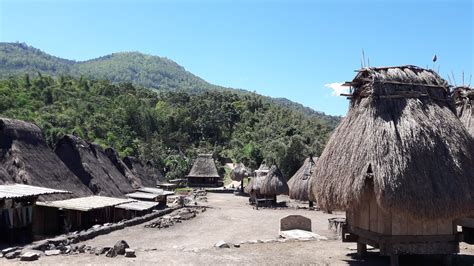 Bajawa: Allt du behöver veta innan du reser (2024) - Tripadvisor