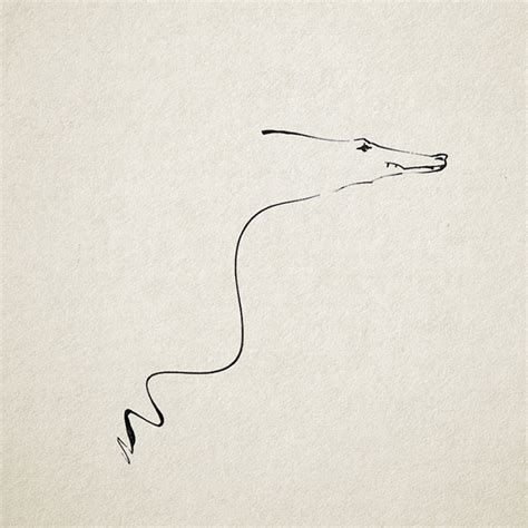 Ink drawings-animals on Behance