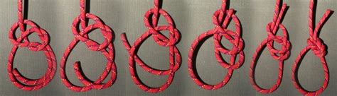 Everything You Need to Know About Bowline Knots: Uses and Variants