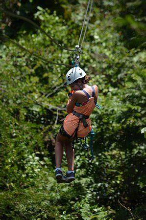 Antigua Rainforest Canopy Tour - All You Need to Know Before You Go (with Photos) - TripAdvisor