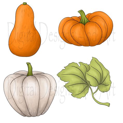 Autumn pumpkin clipart By DigitalDesignsAndArt | TheHungryJPEG