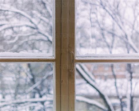 Close-Up Of Bare Trees Covered With Snow Seen Through Window At Home ...