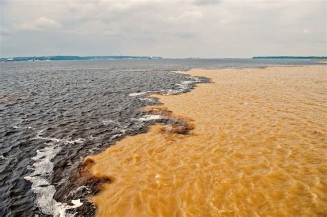 Premium Photo | Water meeting in brazil -amazon river with rio del negro clean and dirty river ...