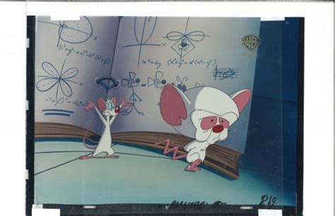 Pinky and Brain Book