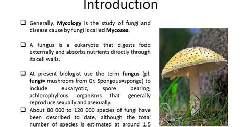 Mycology - Your Learning Point