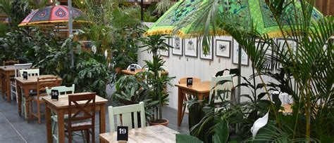 Our Café | Bampton Garden Plants West Oxfordshire