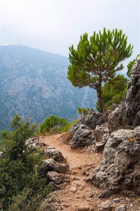 Hiking the scenic border-to-border Lebanon Mountain Trail – Lonely Planet