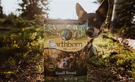 Healthy Small Breed Dog Food Options to Try | Earthborn Holistic Pet Food