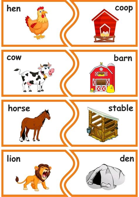 Animal Homes Matching Worksheet