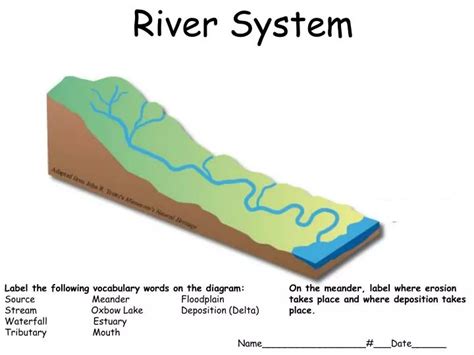 PPT - Label the following vocabulary words on the diagram: PowerPoint ...