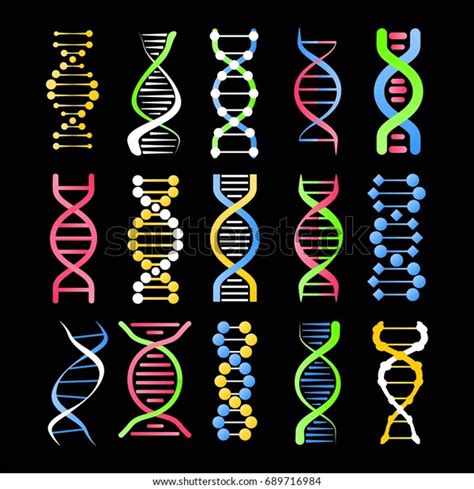 Dna Helix Symbol Spiral Human Gene Stock Vector (Royalty Free) 689716984 | Shutterstock