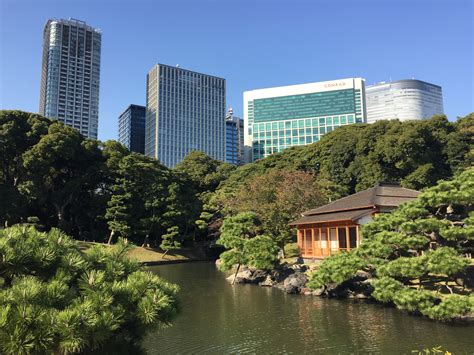 Review: Conrad Tokyo Hotel from SushiandGelato.com