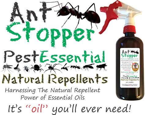 AntStopper | Natural Ant Repellent Spray | PredatorPee Store