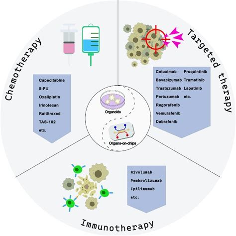 Systemic therapy for colorectal cancer. This figure depicts... | Download Scientific Diagram