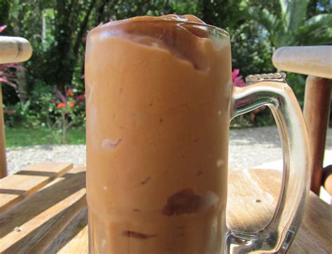 Mamey Sapote Smoothie – Live Remedy