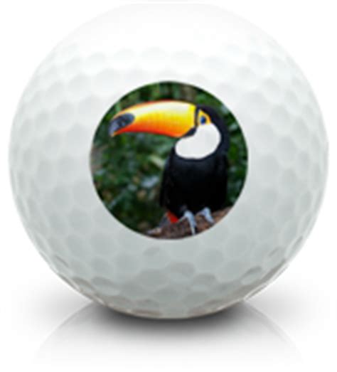 Your Source for Personalized Golf Balls and Golf Gear from Top Brands ...