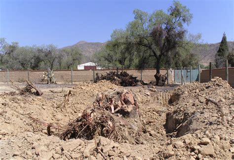 The Center for Ecological Agriculture Has Grown - Mano a Mano