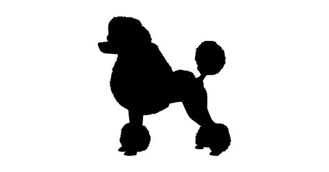 Toy Poodle Silhouette at GetDrawings | Free download