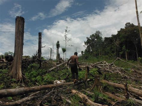 Sustainable Development Projects | The Cairns Institute Research in Tropical Societies