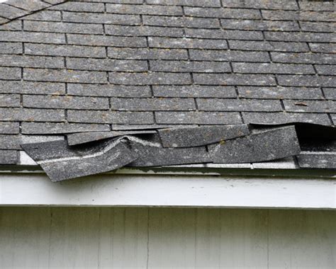 Hail Damage Insurance Claim Help - Ecohome