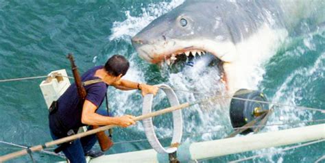 10 Best Shark Movies of All Time From Jaws to The Shallows