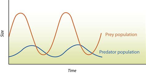 Predation ( Read ) | Biology | CK-12 Foundation