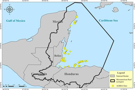 Frontiers | The Effect of Algal-Gardening Damselfish on the Resilience of the Mesoamerican Reef