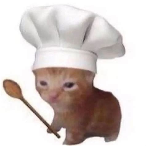 Cute chef cat | Komik kedi yavruları, Bebek kedi, Komik hayvan fotoğrafları