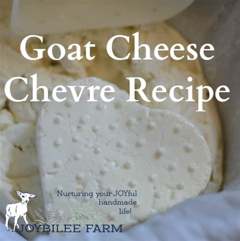 Goat Cheese Chevre Recipe | DIY Herbs with Joybilee Farm