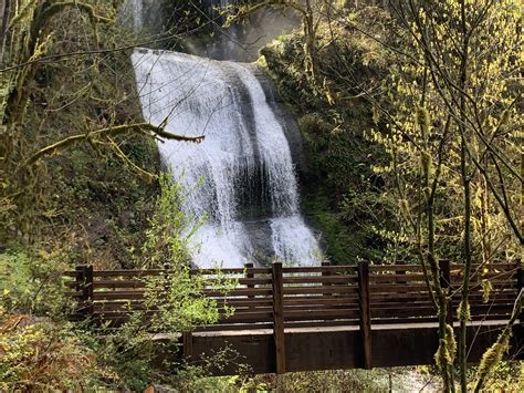 McDowell Creek Falls | Linn County Parks & Recreation