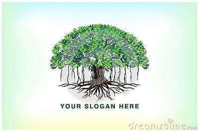 Banyan tree and roots logo stock photo. Image of branch - 214927752 | Banyan tree, Roots logo, Tree