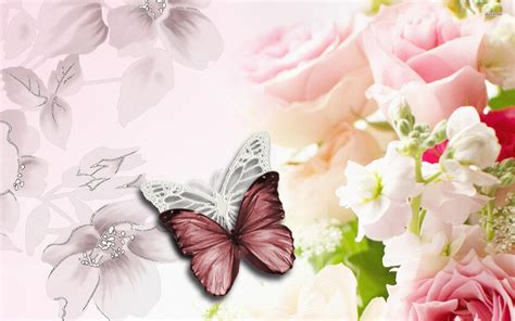 🔥 [130+] Wallpapers Butterflies and Flowers | WallpaperSafari