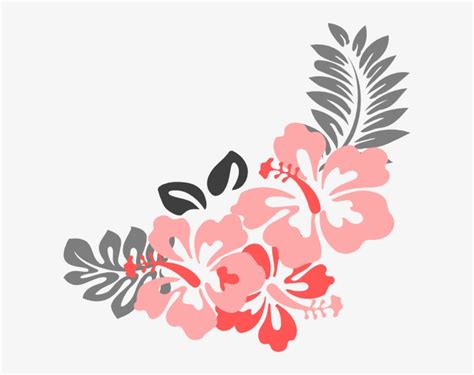 Hibiscus Flower Png Border - Coral Flowers Clip Art Transparent PNG ...