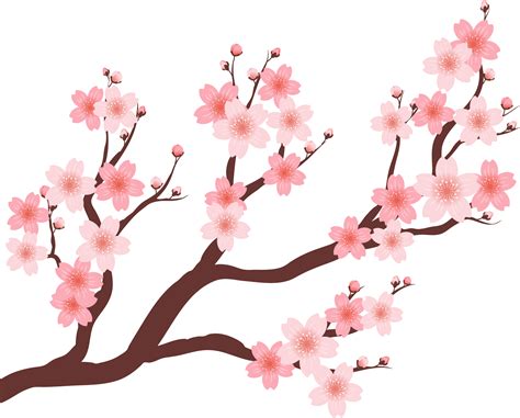 Plum Blossom Drawing | Free download on ClipArtMag