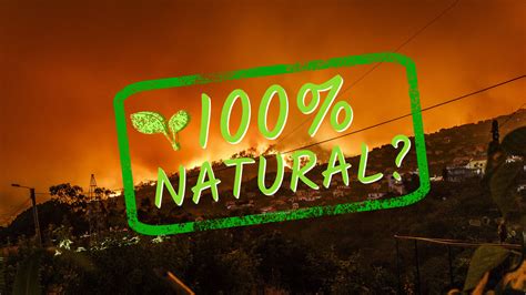 The idea of a ‘natural' disaster is going up in flames | Grist