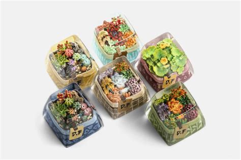 Adorable tiny keycap terrariums add a touch of greenery to your ...