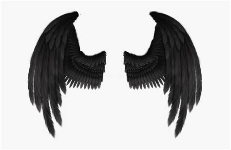 Cherub Angel Wing Fantasy - Black Angel Wings Png, Transparent Png ...