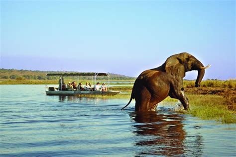 Chobe National Park Boat Cruise | Join Up Safaris