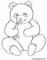 Cute Panda Bear Coloring Page  Free Printable Pages sketch template