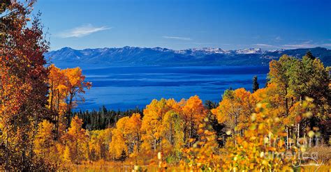 Fall Lake Tahoe Photograph by Vance Fox - Fine Art America