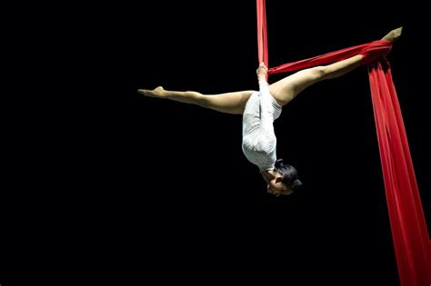 Try Aerial Silk for an overall fitness experience