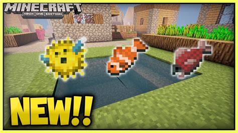 (NEW!)Minecraft Fish Types ! Coming in TU30!!(Xbox360/Ps3/XboxOne/PS4) - YouTube