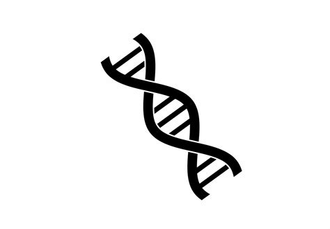 dna helix icon isolated on white background 9784950 Vector Art at Vecteezy