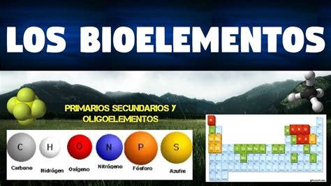 El Elemento Biogenesico Mas Importante De La Materia Viva - Material ...