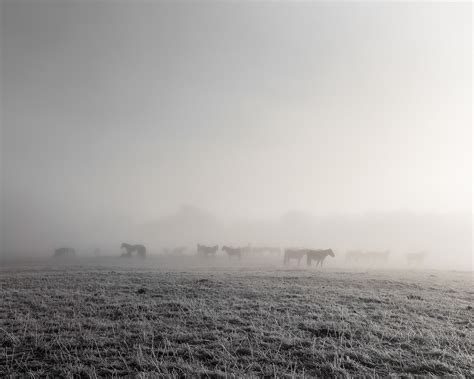 One December morning in the Rhodope mountains on Behance